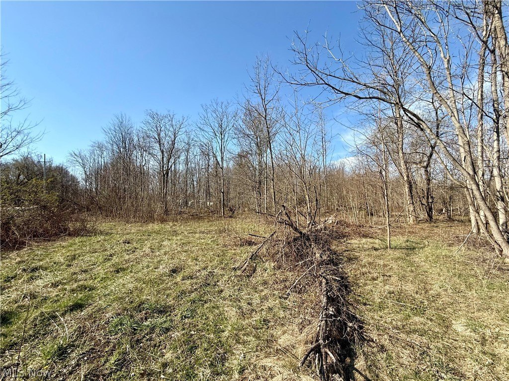 Listing photo 12